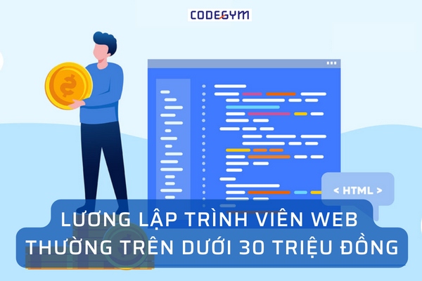 luong-lap-trinh-vien-web-thuong-tren-duoi-30-trieu-dong