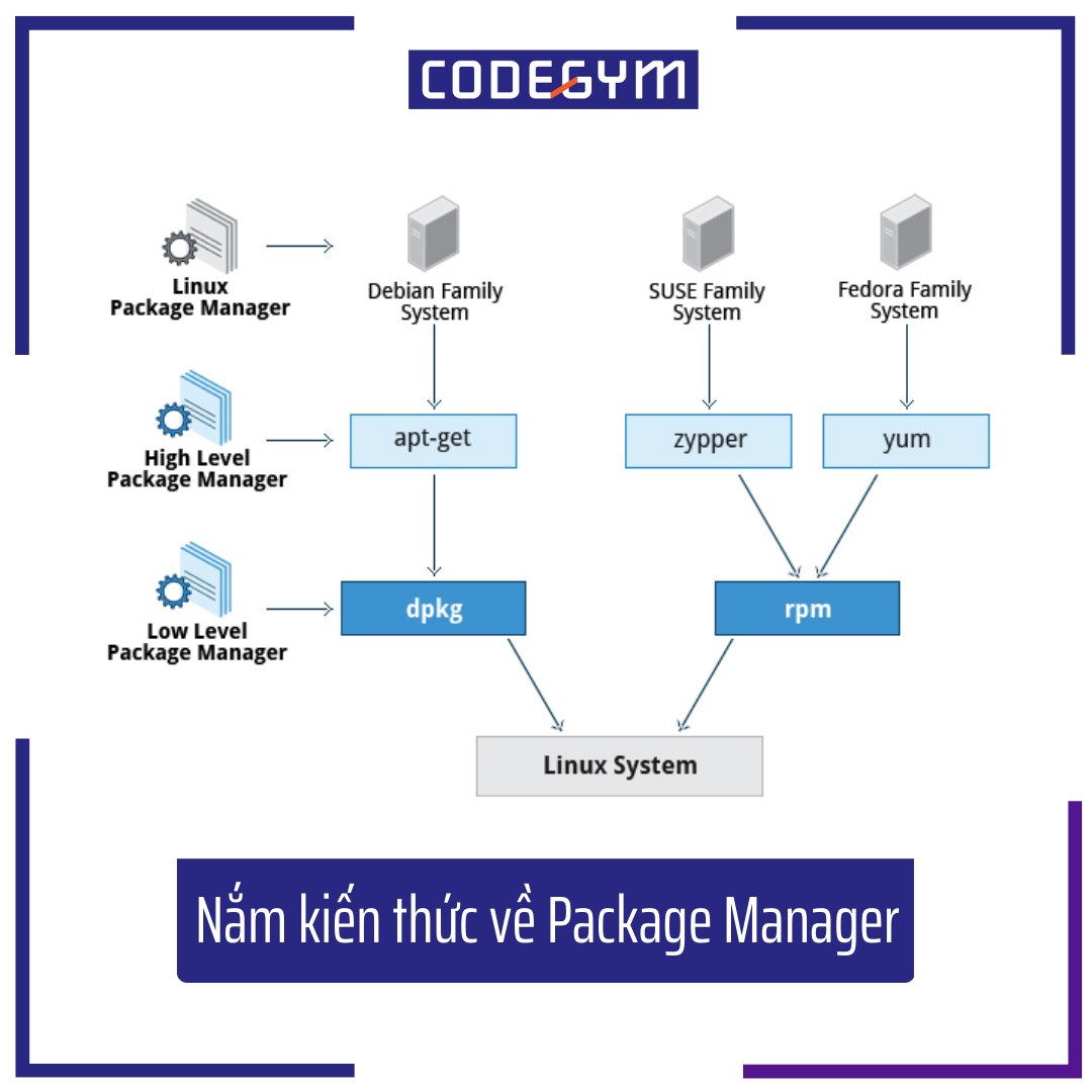 hieu-biet-ve-package-manager