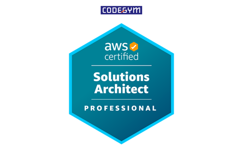 aws-certified-solutions-architect–professional